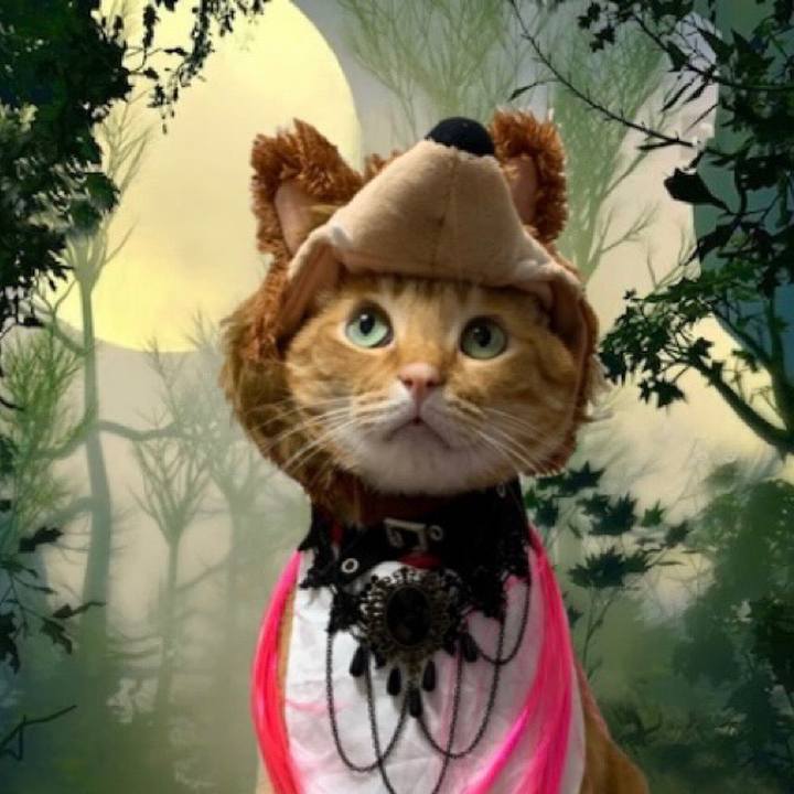 03eeb319 622d 4c0f bcbf d11324c7d4b3 1635503454457