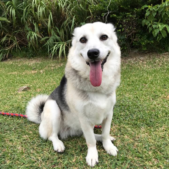 03eec926 3a9f 47ef 898f 47cad5f29816 1602327985417