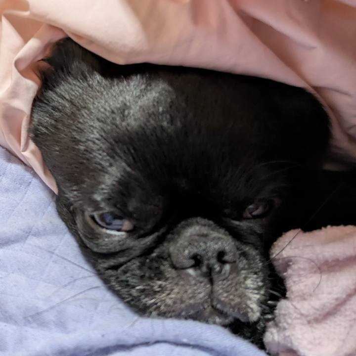 03eefb6a e063 4d24 a6a6 d3a25ba0e79b 1769001849740