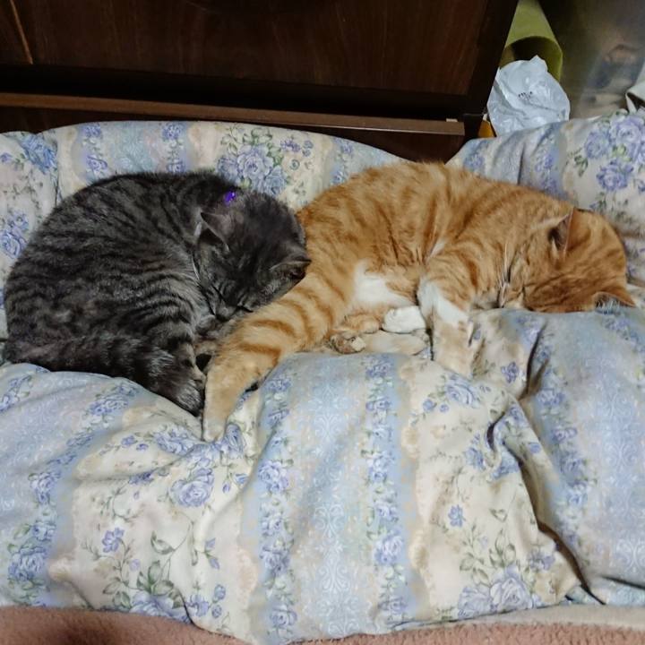 03ef5261 6746 4d8c 82c2 aa845d63814d 1590583989371