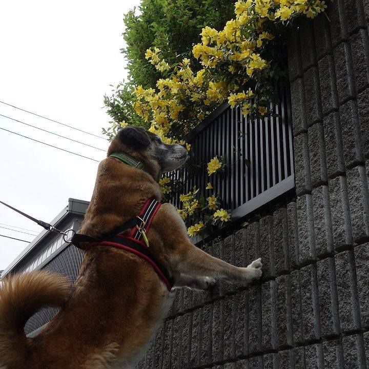 03ef8e6f a4f6 40a8 86e0 e3a7635e5501 1523671018579