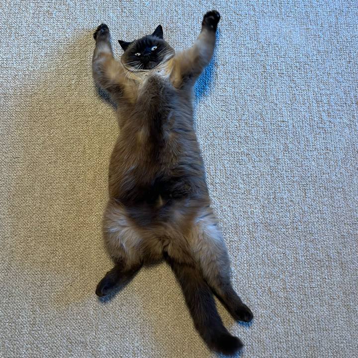 03ef9432 12c8 4b56 b440 f67b1a2fd8a1 1644105407471