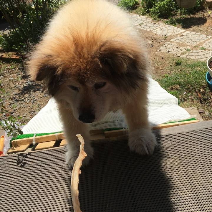 03efc06e ebaf 468f 9630 24e9fd061808 1605578483794