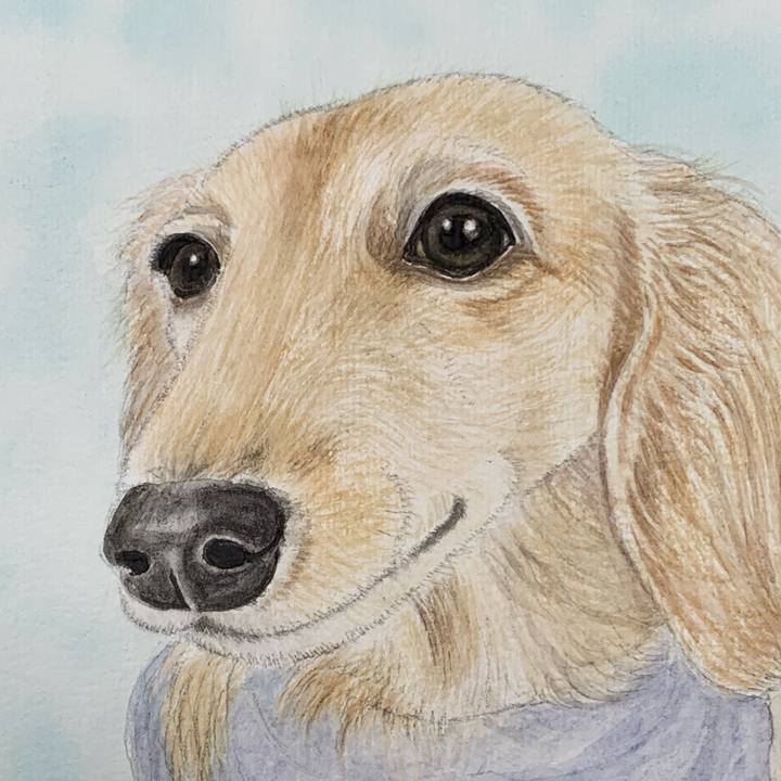 03f016d4 bb11 4507 9f96 f595c97aabc1 1687828508655