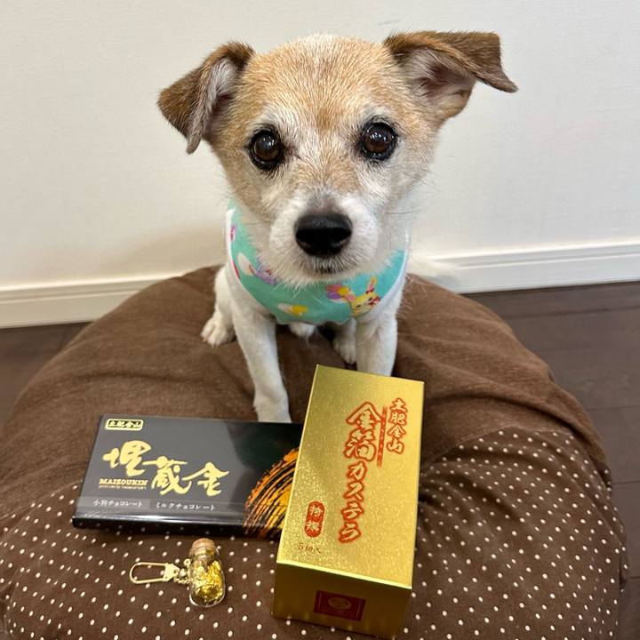 03f01f90 7f12 456b ad16 0910207762de 1686872754432