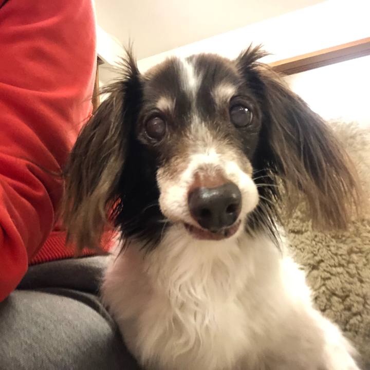 03f054d3 6d8b 4302 9712 356f45cd67c9 1613898674594