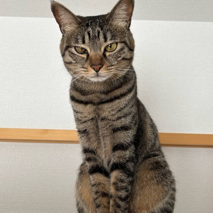 03f0637d c577 40b0 9d74 cbcca231778e 1770604043617