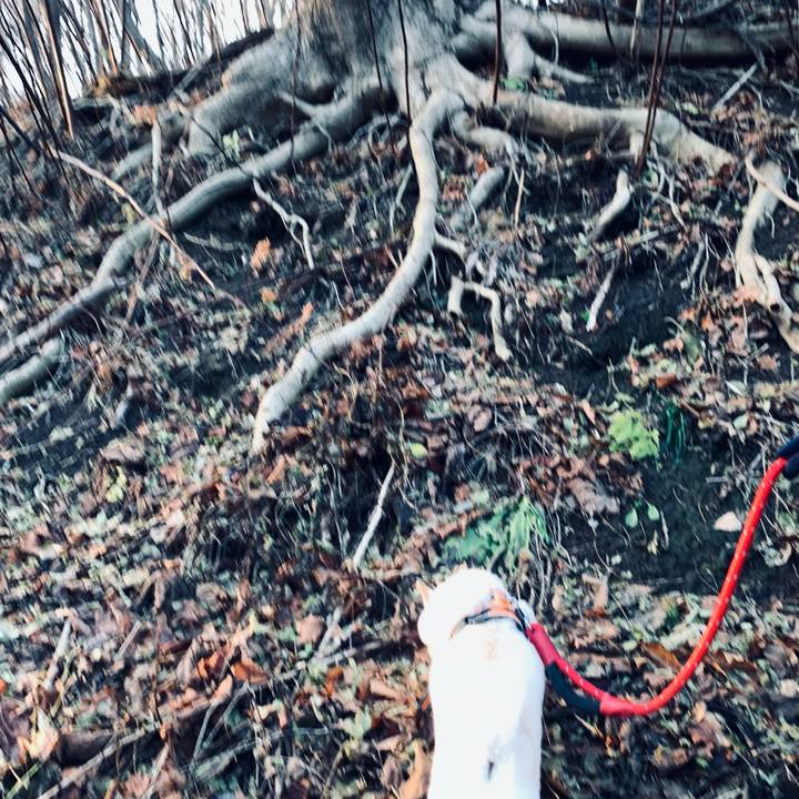 03f06c06 3b4b 4c71 80b6 5550fa1d939c 1669156586077