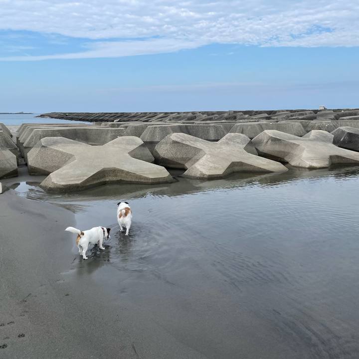 03f0946d 1848 4a55 856f e088b5aa6b63 1751239654215