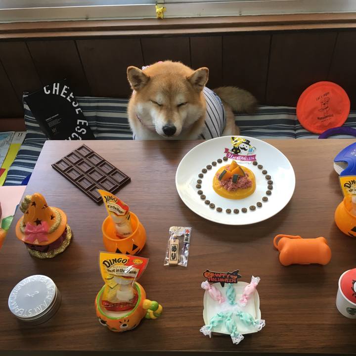 03f0b527 7ede 450c bbd3 5d46702f1c47 1540959979802