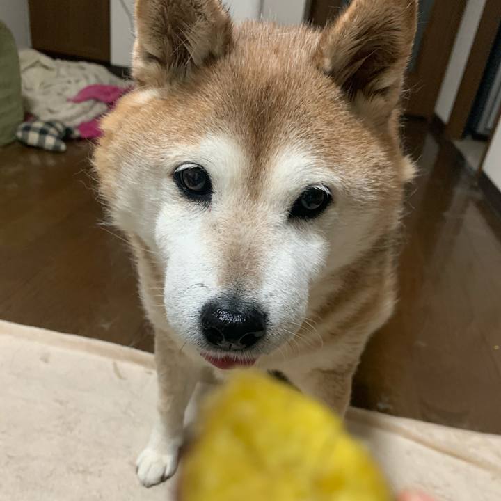 03f128f5 f871 42a4 abc0 d723fd34f340 1583500312022