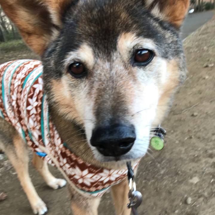 03f19d6c 6e7a 41cf 9ff1 7c3ca64a3eb5 1554290453694