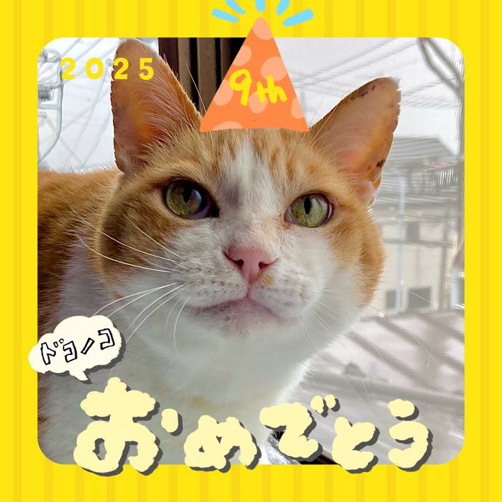 03f1bc69 aa72 481e b766 d969b87bf6b3 1749107162134