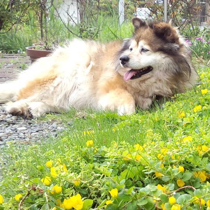 03f1c1e4 a0fa 495e 95d6 4857cdcfff67 1585186055101