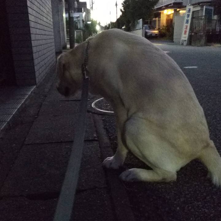 03f1c987 c416 447b bd13 54320fe84bf8 1536145746434