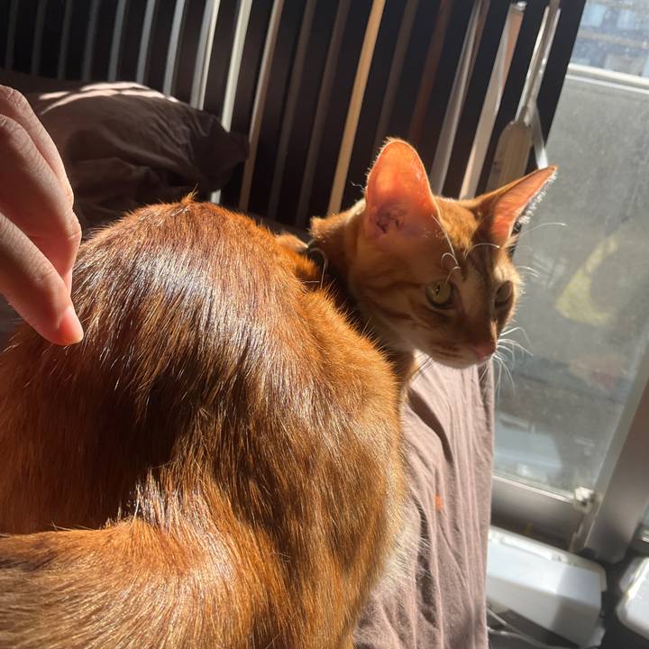 03f1d641 a98e 4ccf b836 e9c65faacbc0 1637293416010