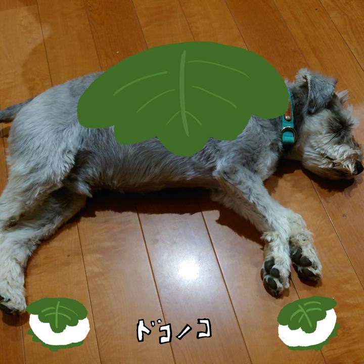 03f1e4ae 8b2e 48af 8edb 856b1621cec5 1749127611105
