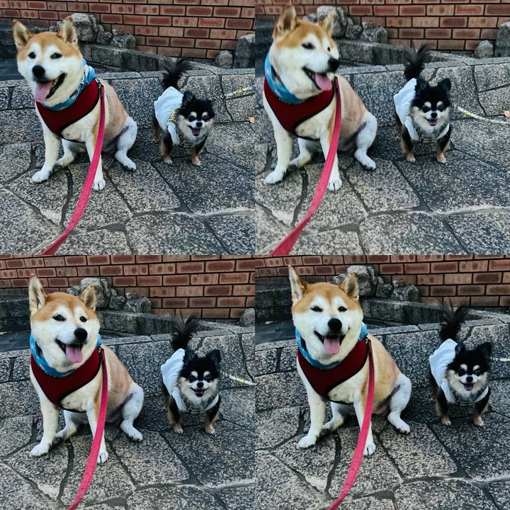 03f2149a 2ae5 46ba 9de5 9ff96e4ecf1f 1726221121313