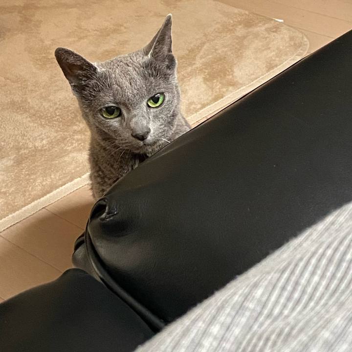 03f24d88 37bf 49dd 994a 95fa215b5fb2 1621945578742