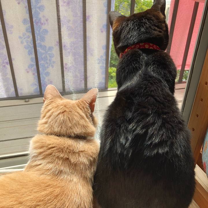 03f2885a 5c81 44ab 80d6 2187f184d202 1620952126641