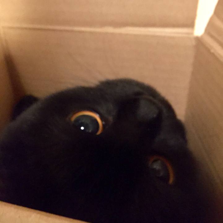 03f2b136 5eb1 4c9a 95c2 8578259013ea 1516962264709