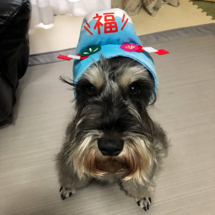 03f2c8d8 8686 4ee2 b85e 0b717ebd43eb 1577834556344