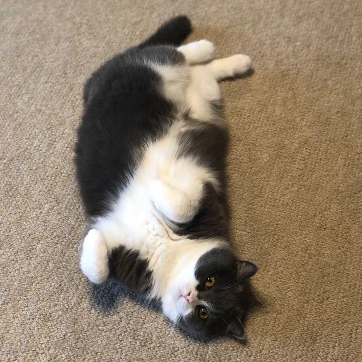 03f2c982 b9e0 496f b665 f022722944a7 1627777912048