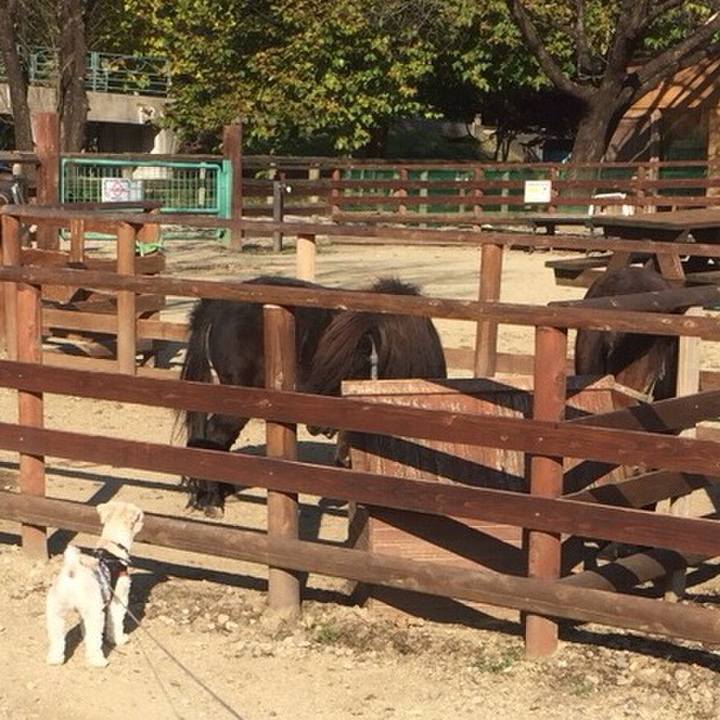 03f2d204 6965 4fac 8198 7e9c4244aa28 1509451513233