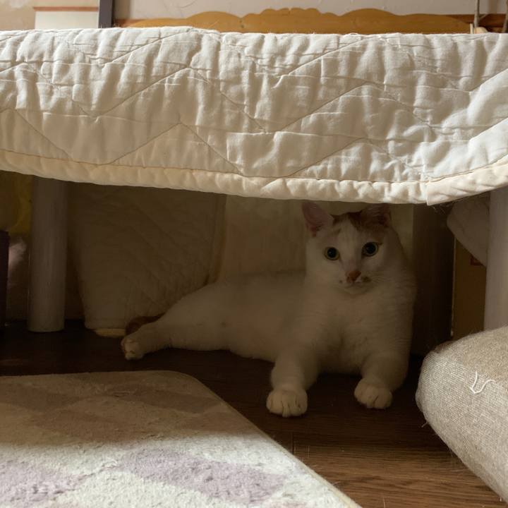 03f3083c b22b 4cd3 9c7a 67259e935c98 1652960959581