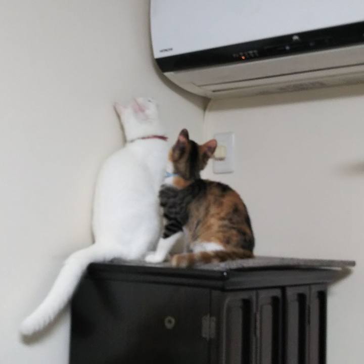 03f31747 b2d9 44f9 becd 37a6b5d35f87 1628711064390