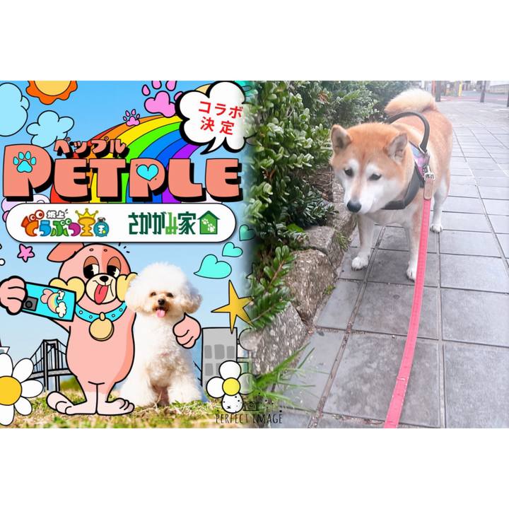 03f324e3 ffc8 4076 8fb5 074fcae08106 1709199298699