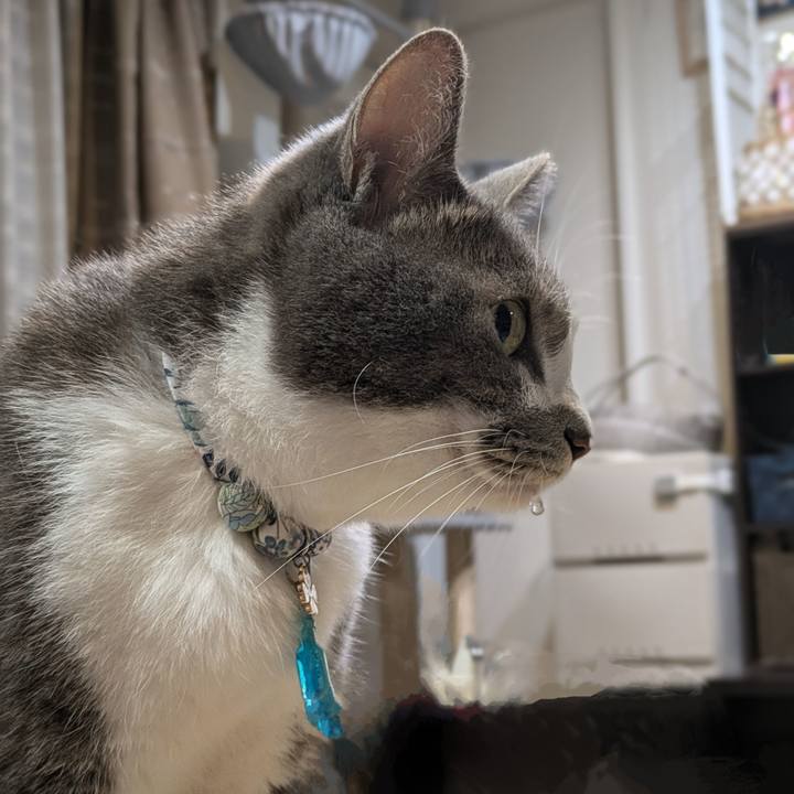 03f371d2 6603 47b9 8e61 9e4e2764431e 1728042581799