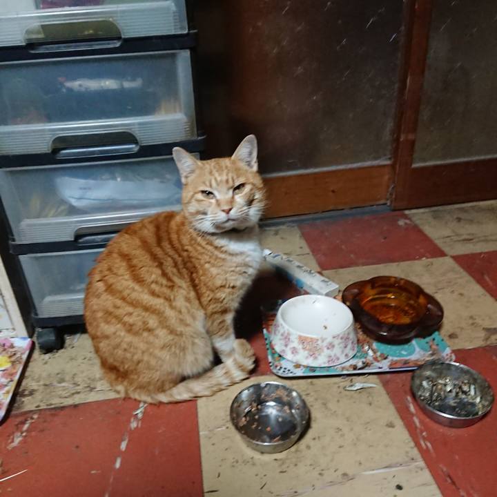 03f3777b 7dfe 4281 b5ff 3f97aab1fd5f 1581070031744