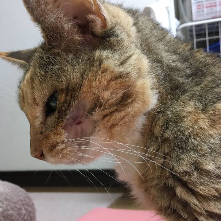 03f39f54 7c77 473f 9c66 c883a635af34 1578356224445