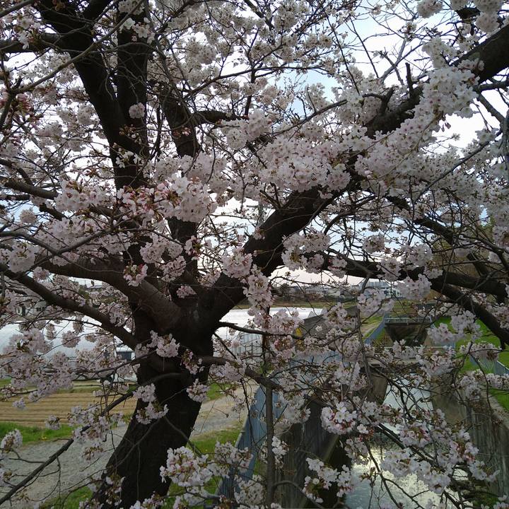 03f3b851 7adf 42df bbf9 c1479cc5e13c 1648475844042