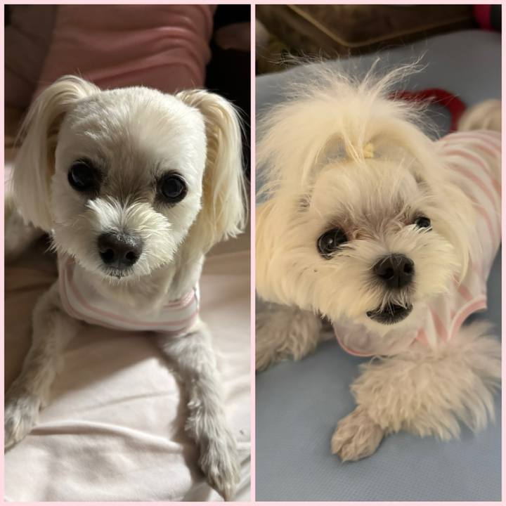 03f3c22c fb2d 4881 834c 747f4c39588e 1754048130687