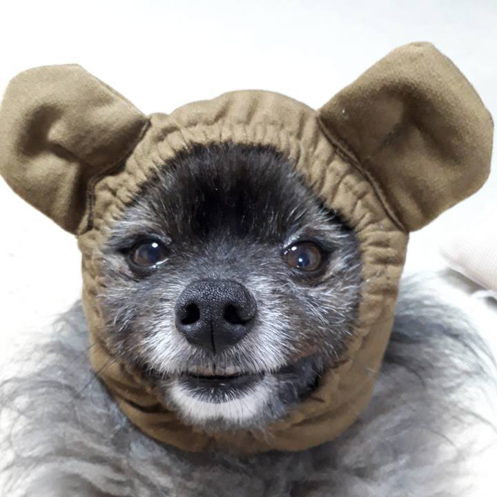 03f3d933 4f75 4fd9 bc61 08ee486cf04d 1556622806525