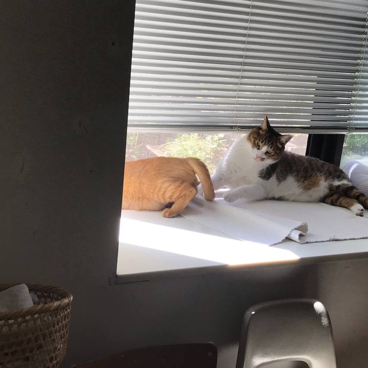 03f3f084 9093 4934 90b0 094432a4cce4 1564976718664