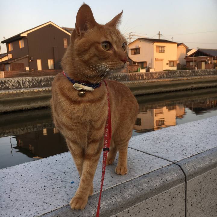 03f4063c 184b 4fb1 93af 19f38d89107b 1524303088544