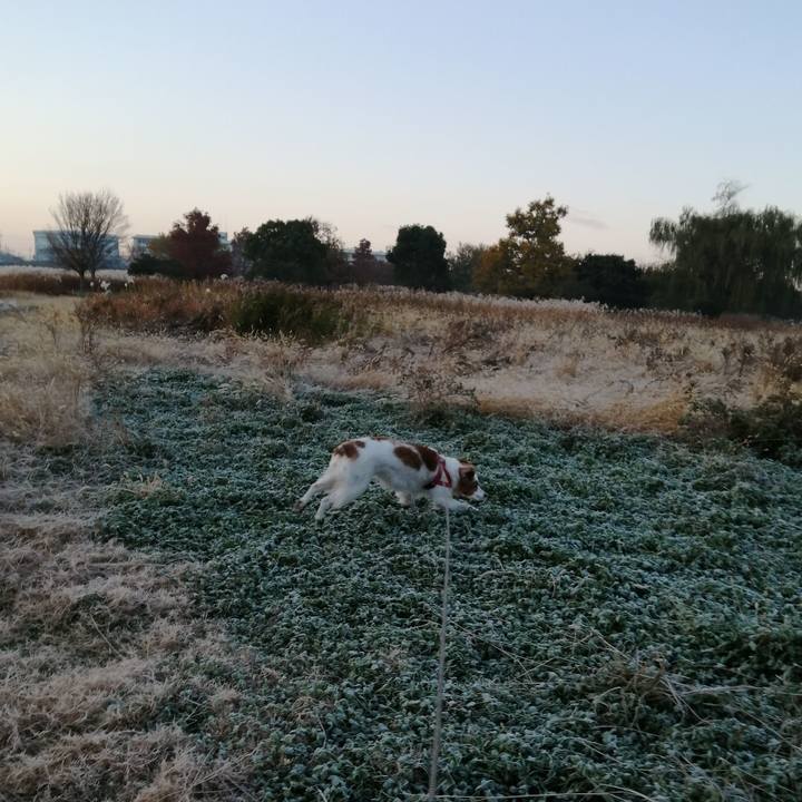 03f40cef 54f3 4319 83fb d0918f940444 1575939223099