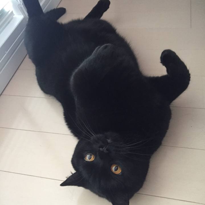 03f41242 e479 4da6 8898 a43156e68a25 1527376537910