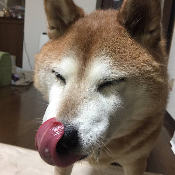 03f41f47 7de3 496d 9800 49ad89578df9 1548629400756