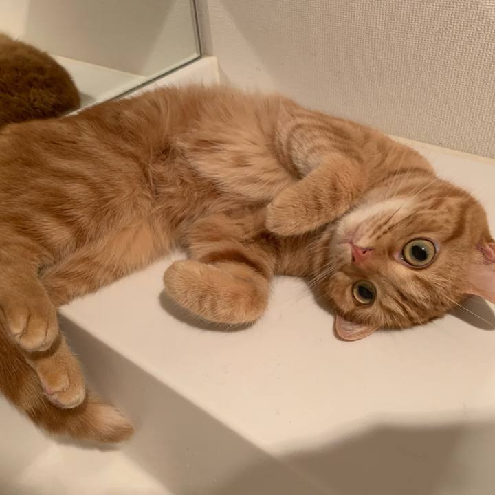 03f425ce 0365 4f99 a69b baa6e5337a6e 1558921802962