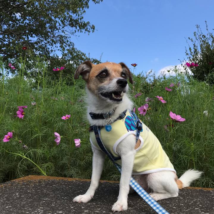 03f43176 fc6b 473a 955f adbffd51d2a7 1537682319960