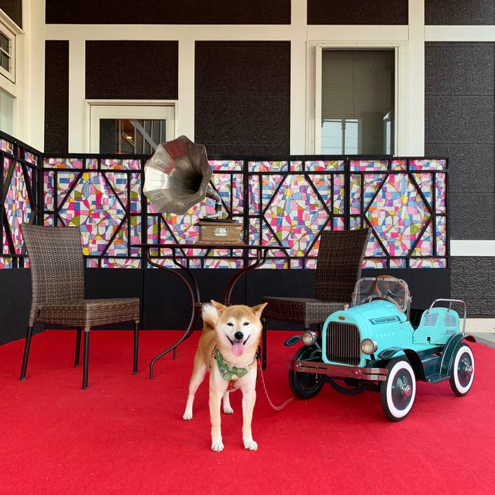 03f46562 f98e 4ff7 b288 9f4abbfdf8c1 1591341222243