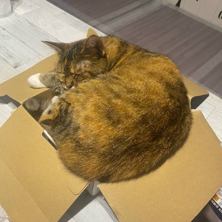 03f47bc5 d1d2 43e8 a33e 4092128bc3e7 1628942992122