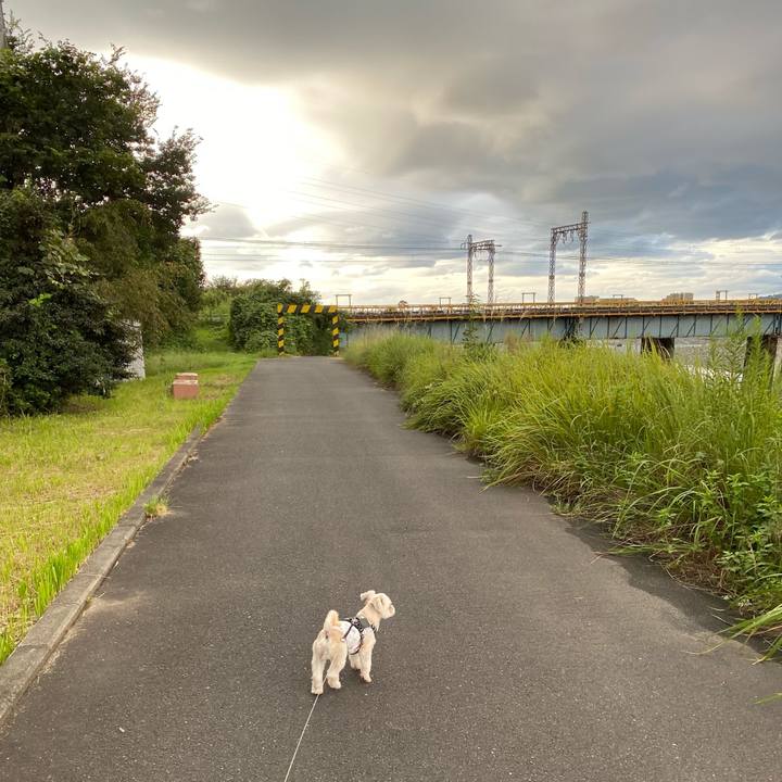 03f48241 0983 4a38 9552 bd9a7f5d11ba 1600903577985