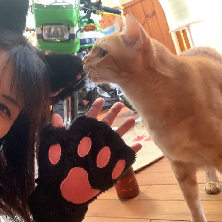 03f4a318 6494 4233 9722 0f76e51757a9 1667029113374