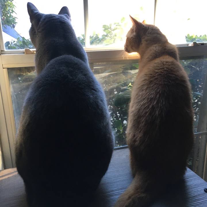 03f4a3a5 6cd1 4054 bb93 c502dc9d821a 1672947066514