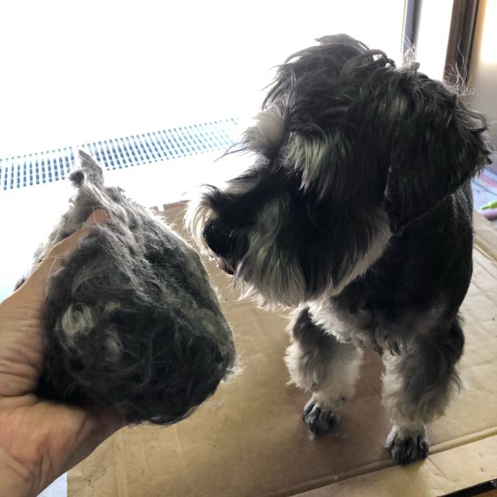 03f4bb58 14cc 482f 958e ac2621ee0ab8 1627702734557